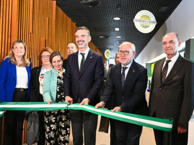  La I Estrategia Andaluza del sector del olivar desarrolla el 60% de medidas 