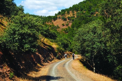  La Guardia Civil auxilia a un menor desorientado en la A4 