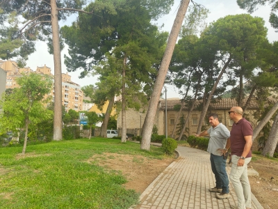  Avanza la reposición de arbolado en el Seminario tras el temporal 
