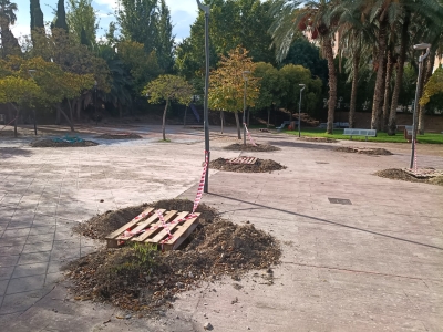  El Ayuntamiento plantará más de 700 árboles para combatir el calor 