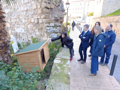  El Ayuntamiento instala casetas para colonias felinas censadas 