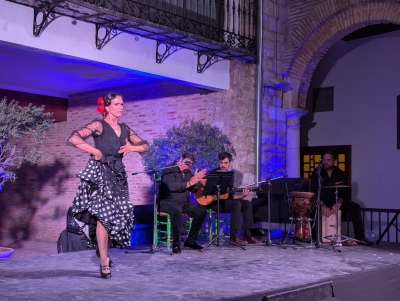  Las Veladas Flamencas llenan el Salón Mudéjar en su primera cita 