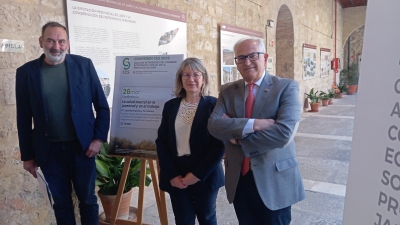  El CES organiza una conferencia sobre salud mental y juventud 