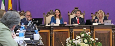  El PSOE denuncia un “agravio histórico” de la Junta a Jaén 