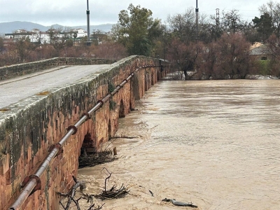  Desciende el Guadalquivir a su paso por Andújar 