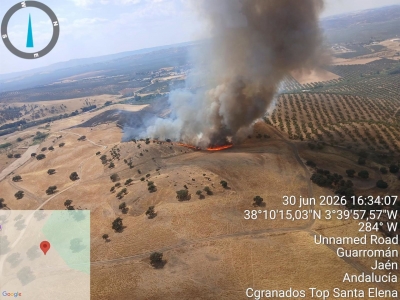  Declarado un incendio en el paraje de Cerro Saro en Guarromán 