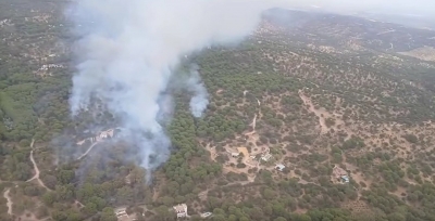  Andújar señala la importancia de los planes antiincendios para Las Viñas 