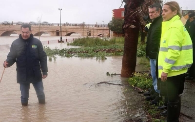  Tampoco fui tanto, ni tan poco 