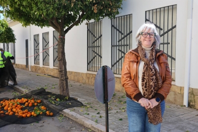  Úbeda espera recolectar 50.000 kilos de sus naranjos ornamentales 