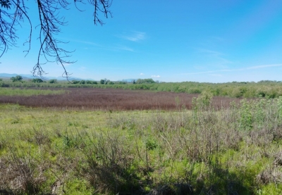  La Laguna Grande de Baeza entra en la Lista Roja de Hispania Nostra 