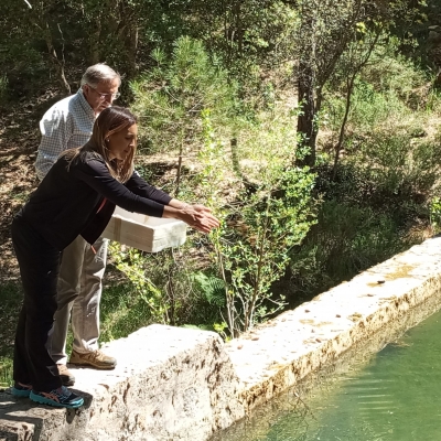  Reintroducción de  2.600 cangrejos autóctonos en Cazorla 