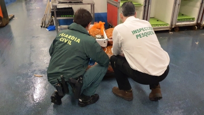  La Guardia Civil interviene más de 400 kilos de moluscos inmaduros 