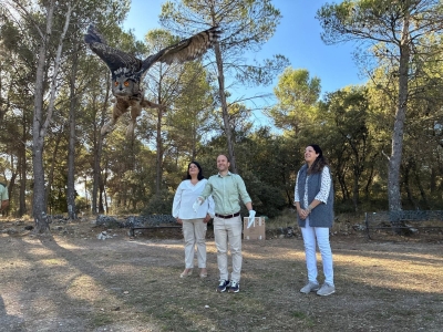  El CREA Quiebrajano libera un búho real en el monte Peña del Águila 