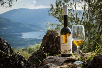  Este viernes se deciden los Premios Ardilla 2025 de la DO Sierra de Segura 