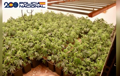  La Policía interviene 666 plantas de marihuana en Mengíbar 
