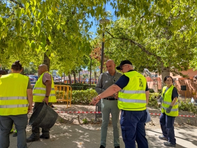  El Ayuntamiento inicia la remodelación de las zonas verdes del tranvía 
