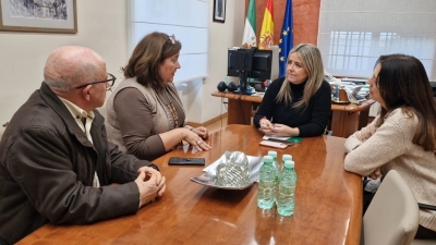  Junta y asociaciones analizan las necesidades de los enfermos de alzheimer 