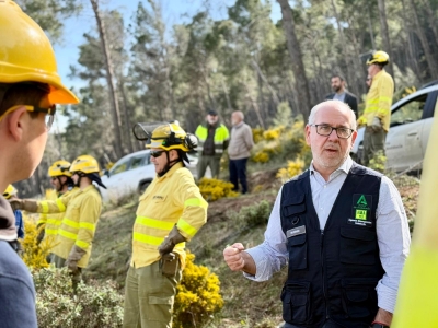  El Infoca retira árboles caídos en el parque periurbano de Santa Catalina 