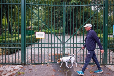  La provincia cuenta con más de 200.000 animales de compañía registrados 