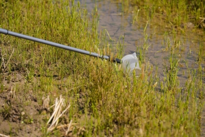  La Carolina intensifica el control sobre el mosquito del virus del Nilo 