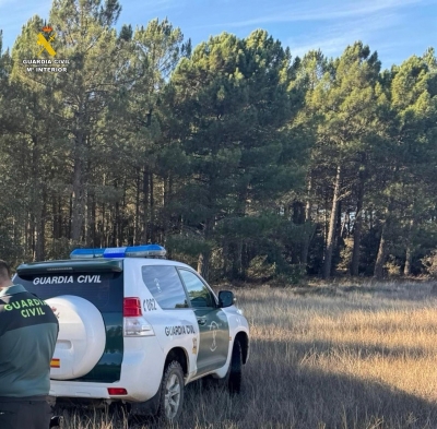  Andalucía, comunidad con más asesinadas por violencia de género en 2025 