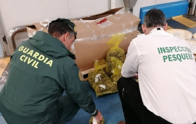  La Guardia Civil interviene 90 kilogramos de chirla en Guarromán 
