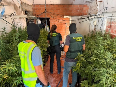  Desmantelan una plantación de marihuana en Baños de la Encina 
