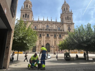  Refuerzo de la limpieza de imbornales para prevenir inundaciones 