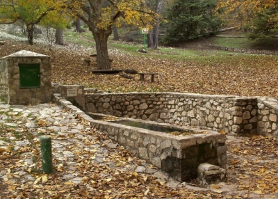  JM+ pide a la Junta que limpie la Cañada de las Hazadillas 