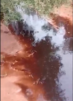  Denuncian posibles vertidos contaminantes en un arroyo de Castellar 