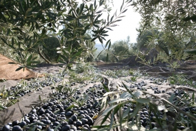  El peso de la Historia 