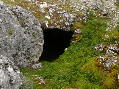  La Cueva del Jabalí, declarada tercera reserva entomológica de Jaén 