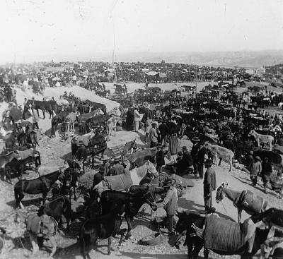  Esta es la Historia de la Feria y Fiestas de San Lucas 