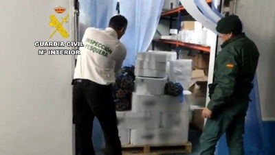  Intervienen en Úbeda más de 270 kilos de pescado y marisco no apto 