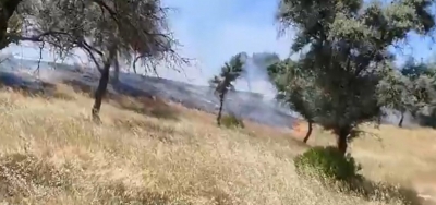  Declarado un incendio forestal en Andújar 