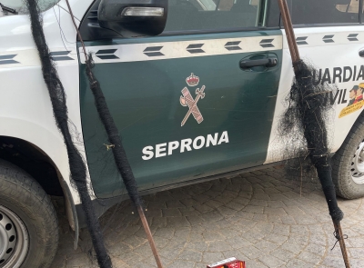  La Guardia Civil investiga una captura ilegal de aves en Beas de Segura 