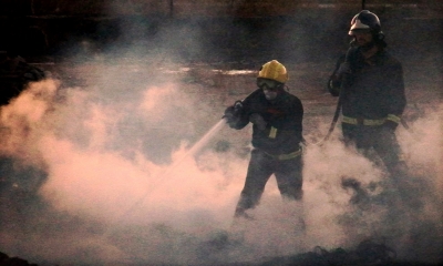  El vampiro del bosque (el fuego) 