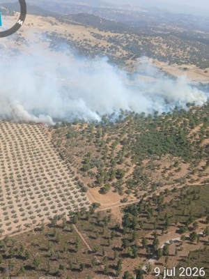 Nuevo incendio en Santa Elena junto a la autovía A-4 