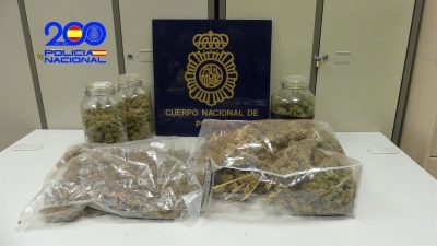  Detenido en Andújar por engancharse a la luz para cultivar marihuana 