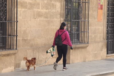  Jaén tiene más de 207.000 animales de compañía registrados 