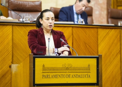  El PSOE acusa al PP y la Junta de "no aportar nada al tranvía" 