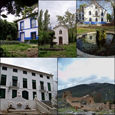  Mata Bejid: Memoria viva y raíz de piedra 