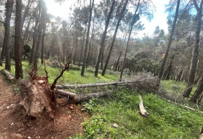  JM+ reclama a la Junta que limpie los parques periurbanos de la capital 