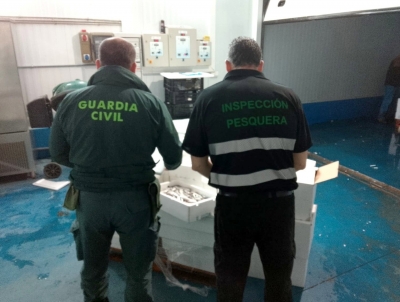  Intervienen 750 kilos de pescado no apto para el consumo 