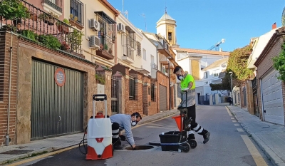  El Ayuntamiento intensifica las labores de control de plagas 