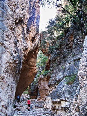  Cañón del Quiebrajano: el susurro de la tierra antigua 