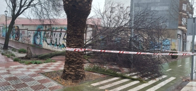  El temporal deja en Úbeda varias incidencias y se pide precaución 