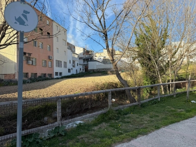  Un censo de ADN canino evita las cacas en la calle 